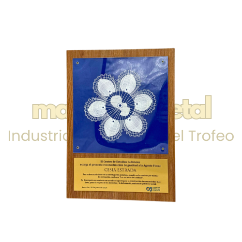 Imagen de Placa de reconocimiento ñanduti - M3.1005